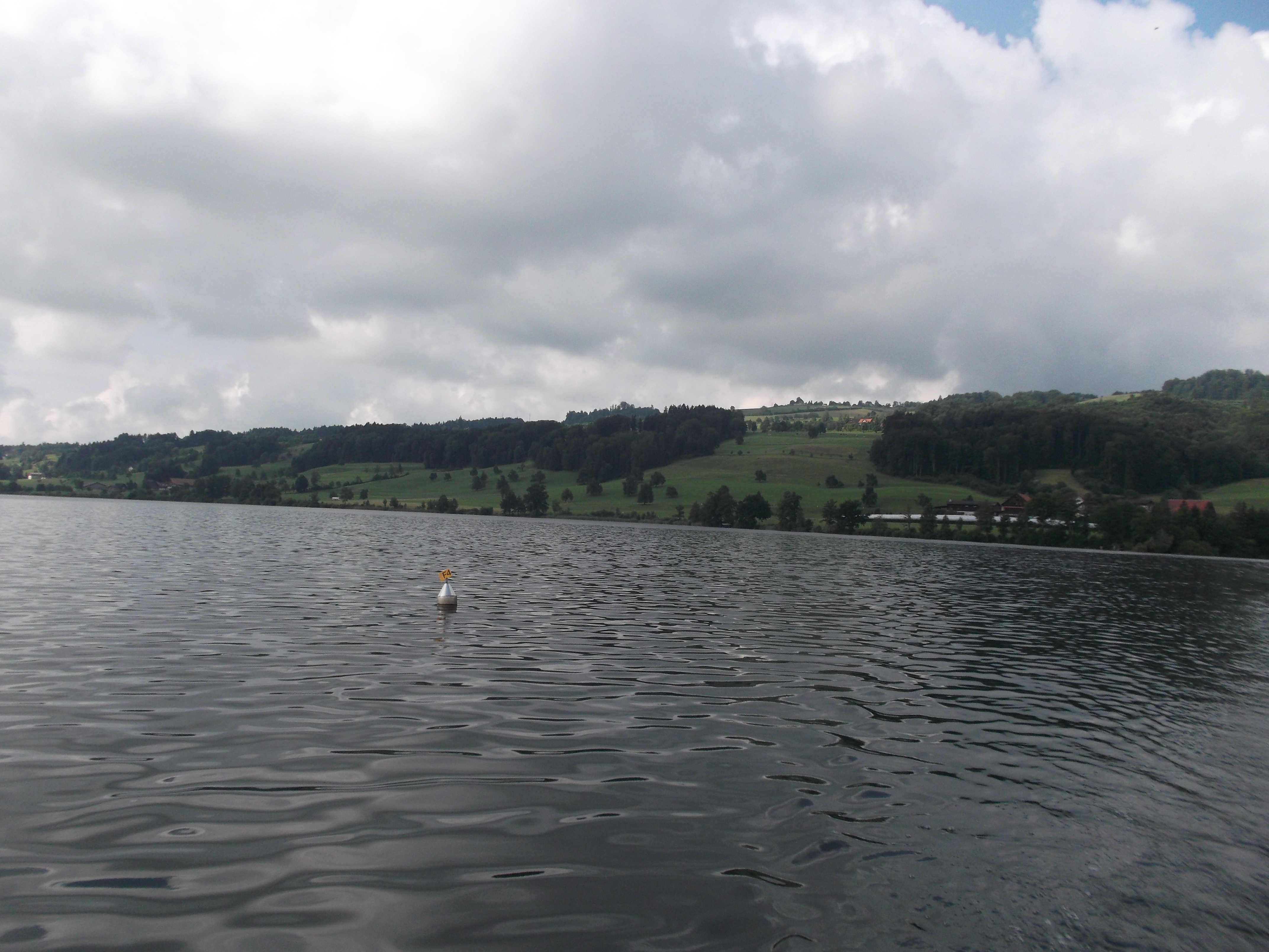 the-regulation-of-nitrogen-in-lakes